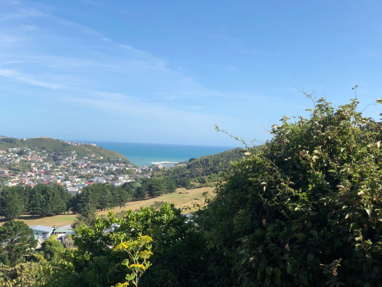 The view from the top