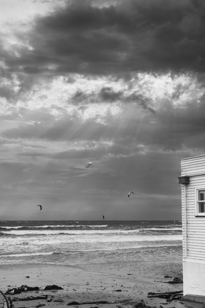 Lyall Bay Kite Surfers
